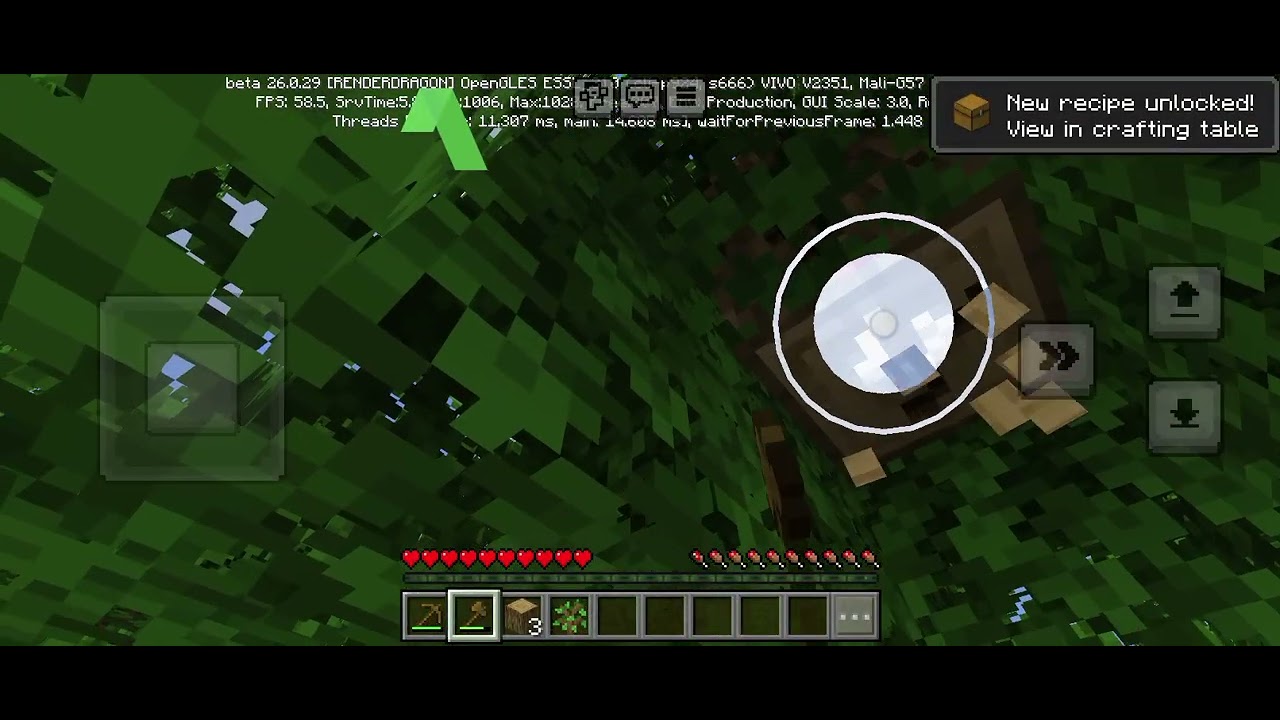 Minecraft video 