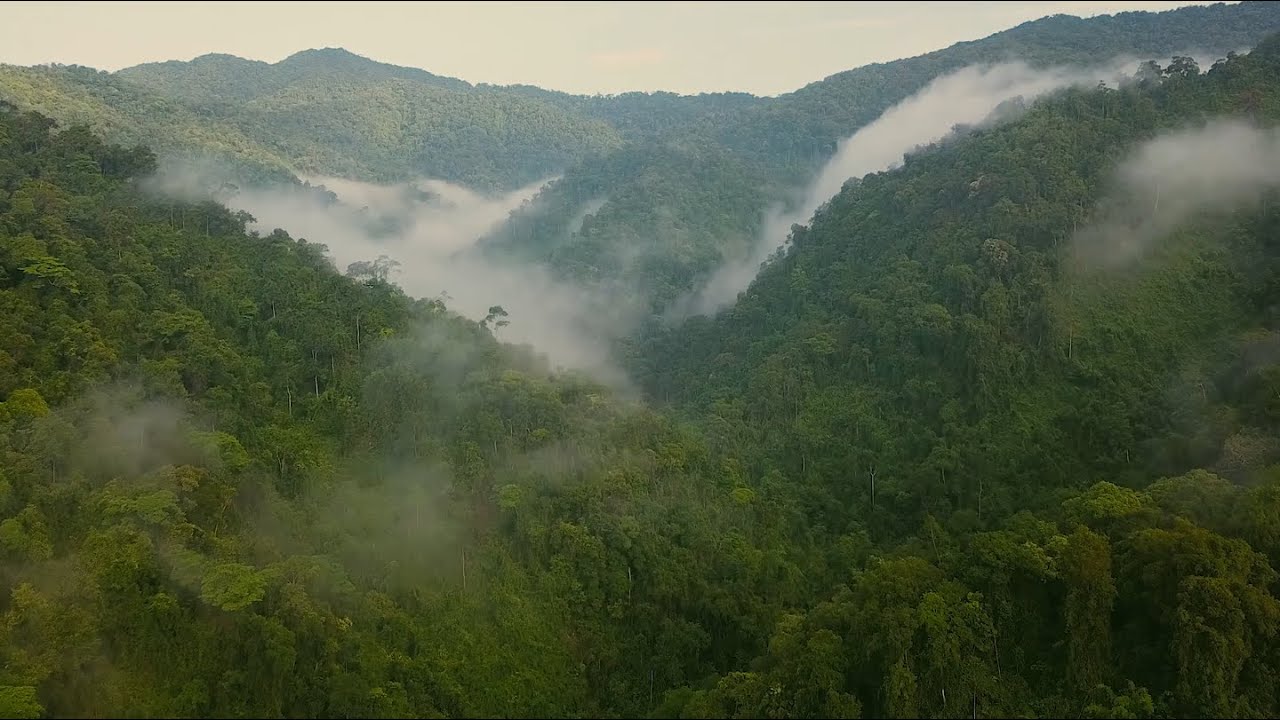 Central Annamites Landscape_Laos/Vietnam (full version).