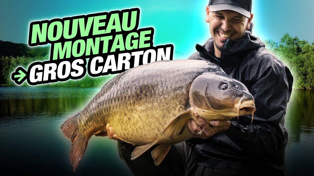KORDA CARP FISHING FILM: Nouveau montage, gros carton ! (Pierre Meyer)