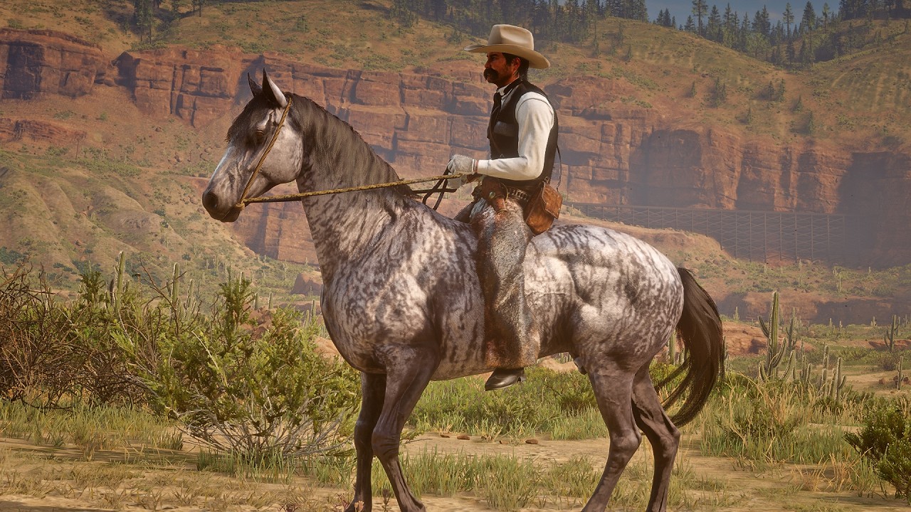 John Marston Tames Rare Thoroughbred Brindle Horse in Wild West | RDR2