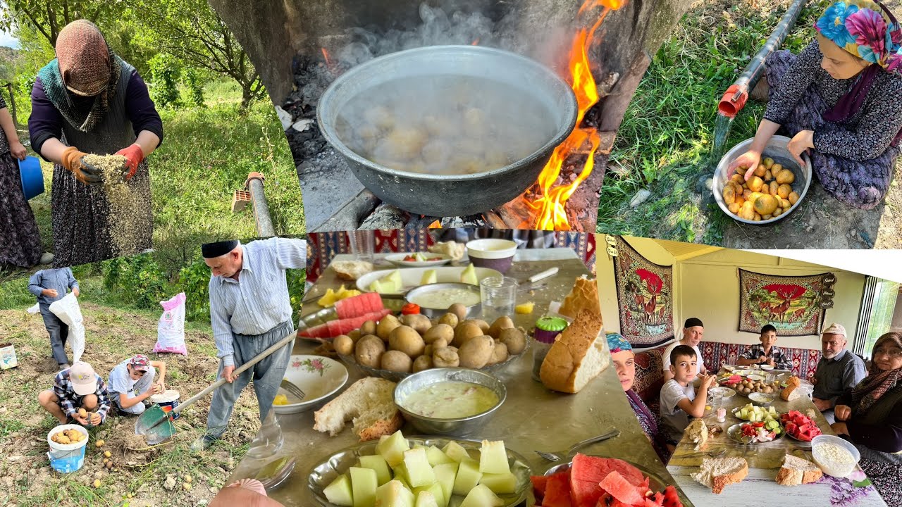 Patates hasatını  yaptık bahçede öğlen yemeği patates haşlama 