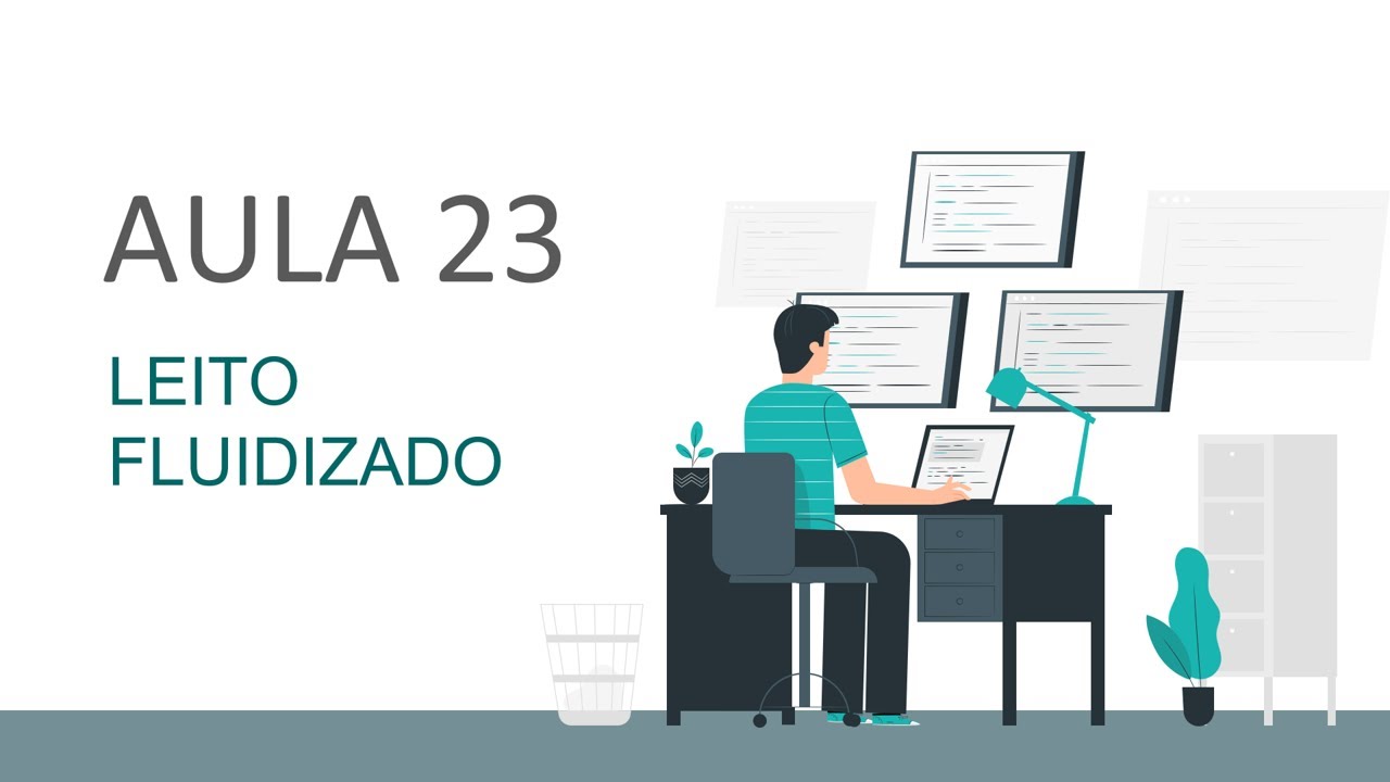 Aula 23:  Leito Fluidizado