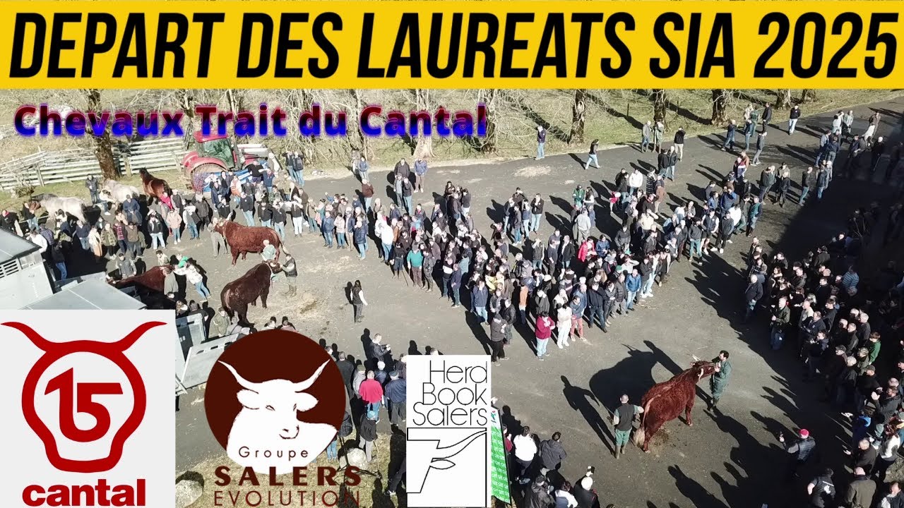 Cantal 🟢🚜🐂 Chargement des animaux en route pour le Salon de l’Agriculture 2025 à Paris