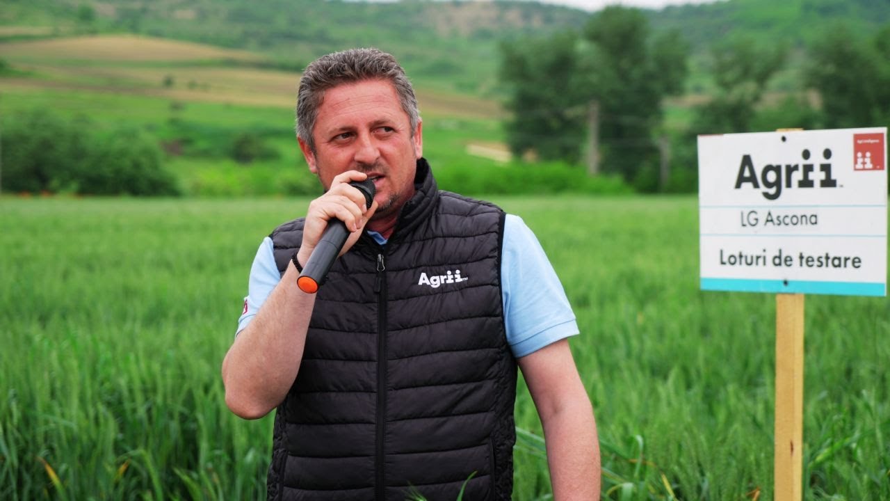 Cinci soiuri de grâu testate în Blaj, sub marca Atlas de la Agrii
