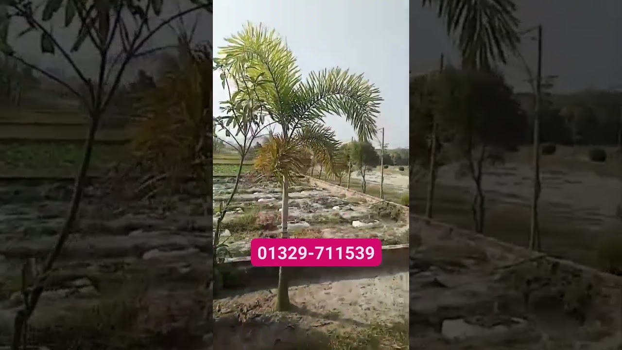 Ready land in Dhaka area