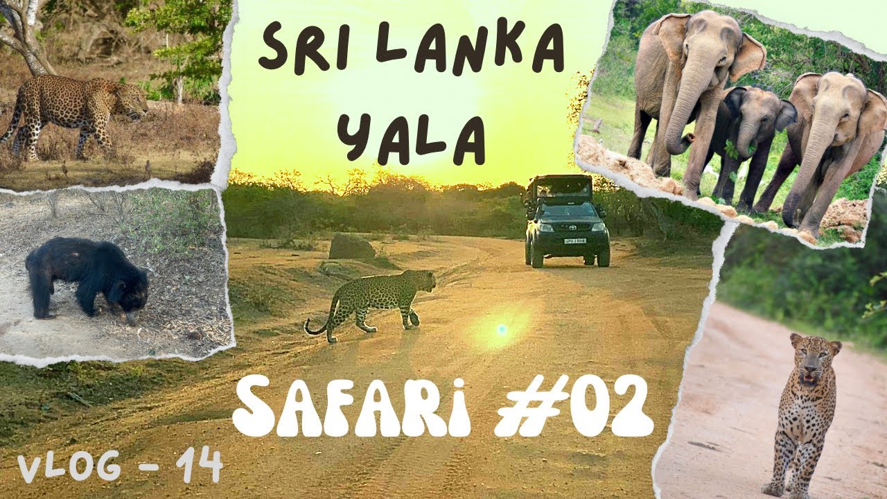 Vlog 14 - Yala Safari 2 Sri Lanka | Leopard | Elephant | Birds | Warahana | Mahasilawa Bungalow