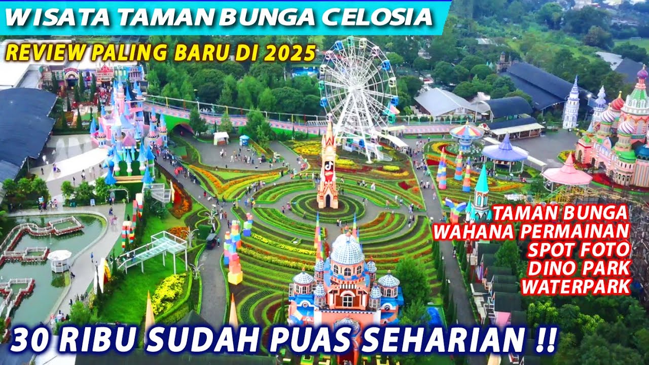 WISATA TAMAN BUNGA NEW CELOSIA WAJAH BARU 2025
