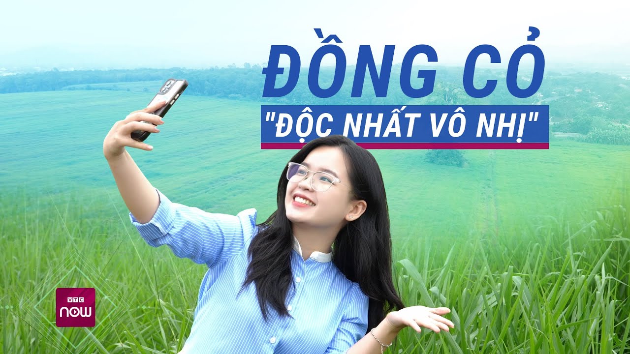 Khám phá cánh đồng cỏ Mombasa “độc nhất vô nhị” ở Việt Nam | VTC Now