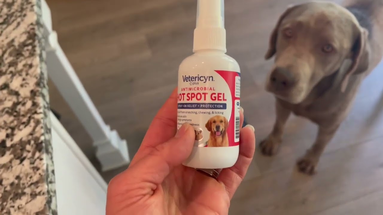 Vetericyn Plus Dog Hot Spot Gel, Spray On Hot Spot Care for Dogs Review