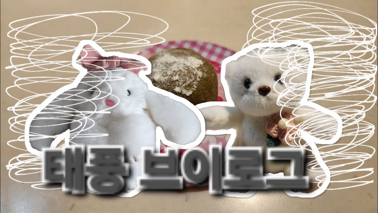 태풍브이로그(엄청 힘든 일상ㅠㅠ)