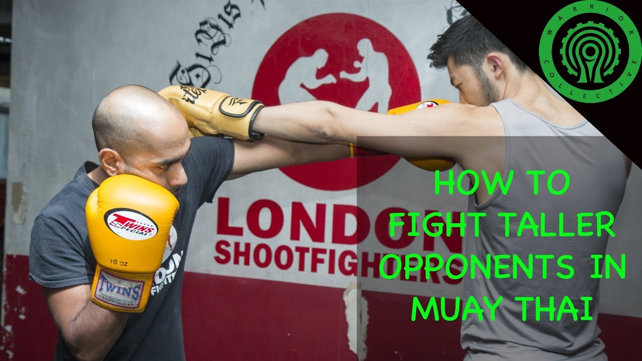 Muay Thai How to Fight Taller Opponents - Dismantling the Jab