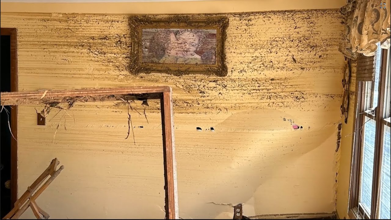 Tragedy and Miracles, by Mike Smith (Stories from the Storm)