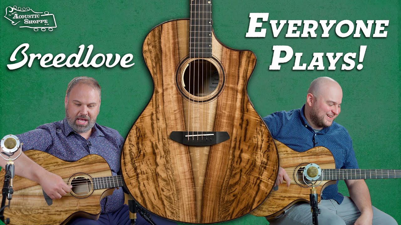 1 Guitar 5 Musicians | Breedlove SE Oregon Series Concerto | Everyone Plays