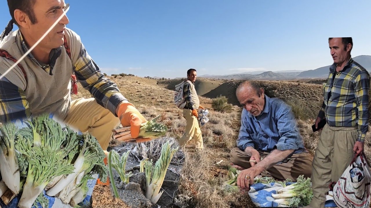 🌿 Journey with Ali & Abolfazl: Gathering Mountain Herbs & Cooking Together in Nomadic Life 🍲