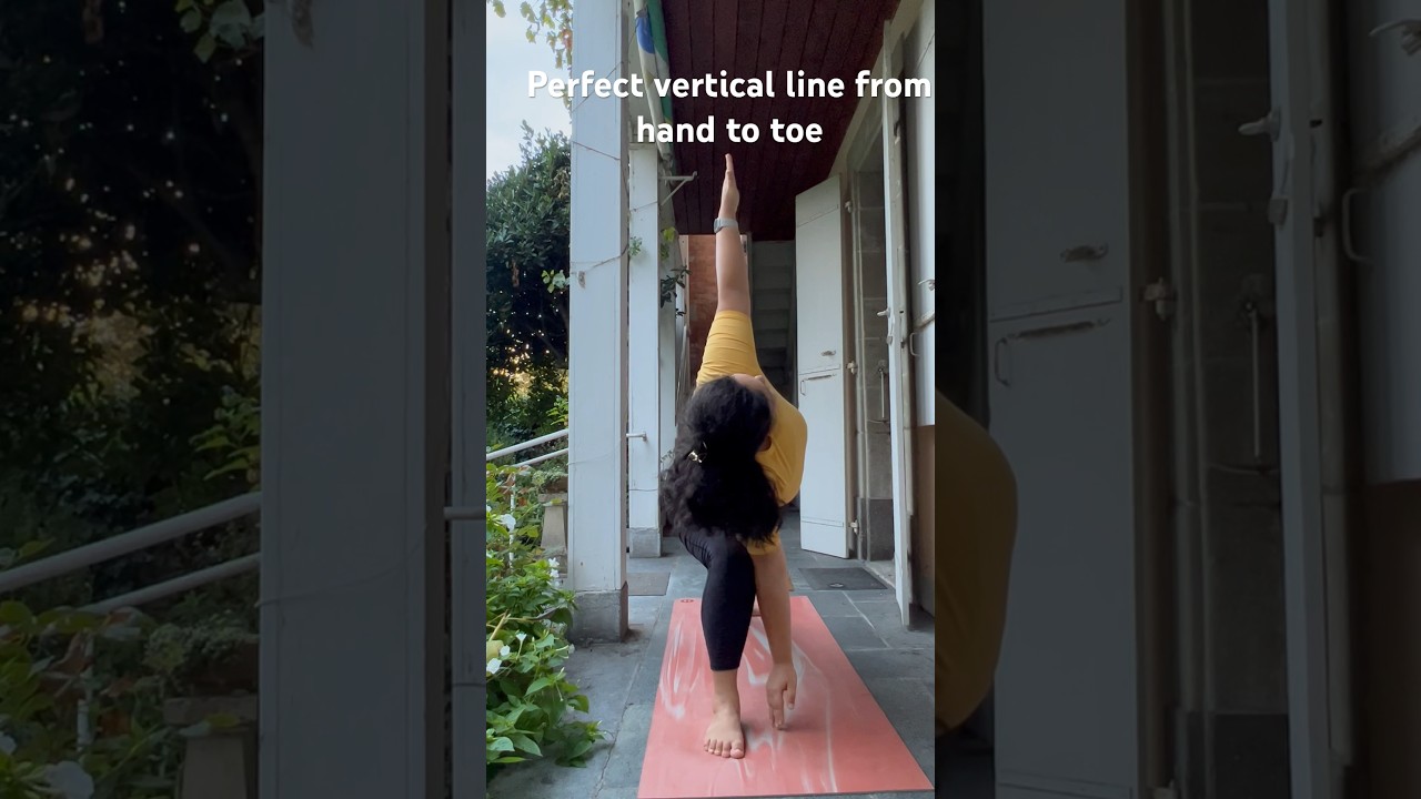 Perfect vertical line from hand to toe. Side angle pose 