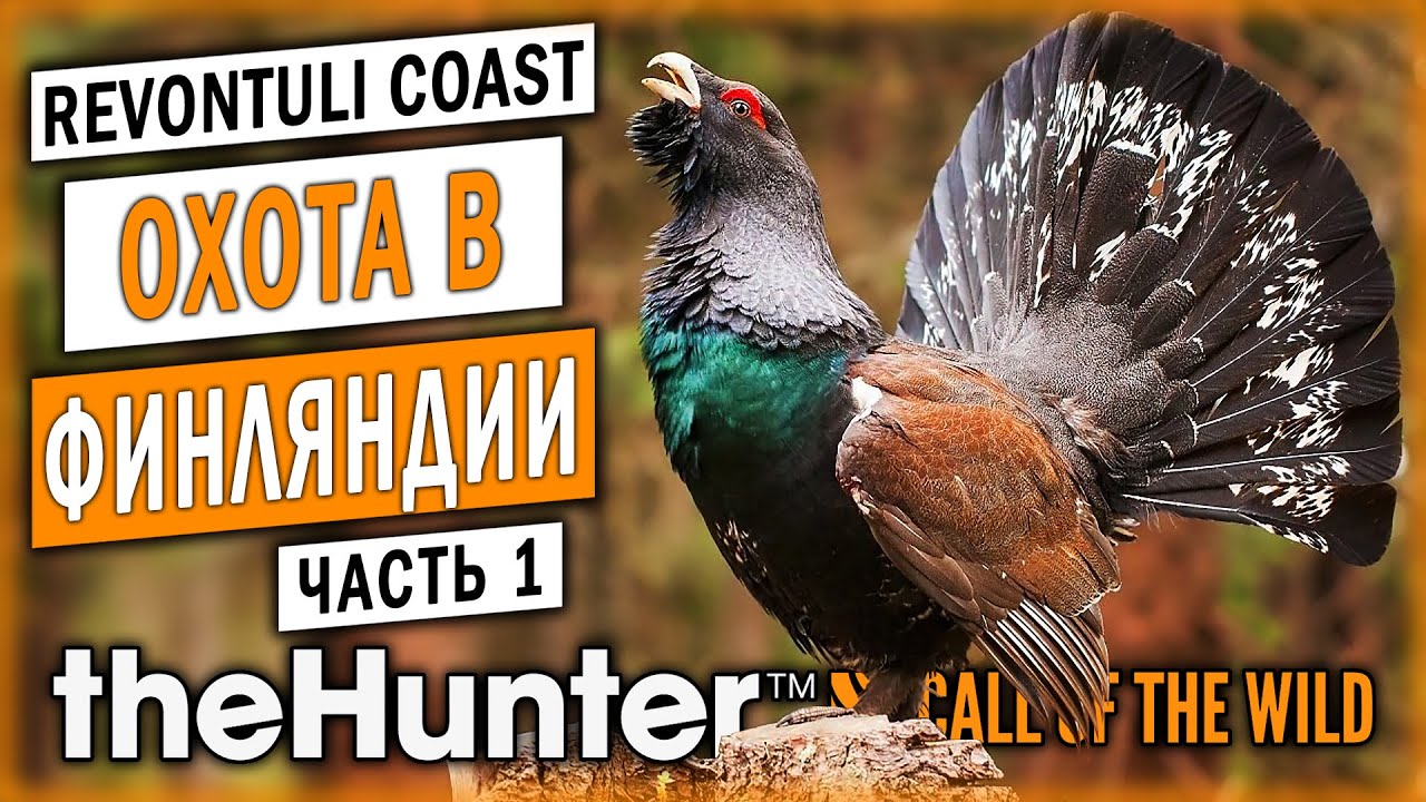 ОХОТА НА ГЛУХАРЯ! НОВЫЙ ЗАКАЗНИК 