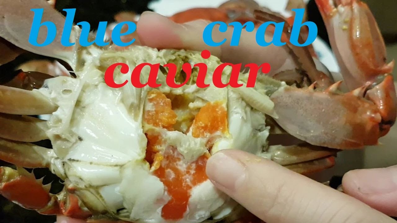 Blue crabs' CAVIAR (A.K.A eggs or roe)