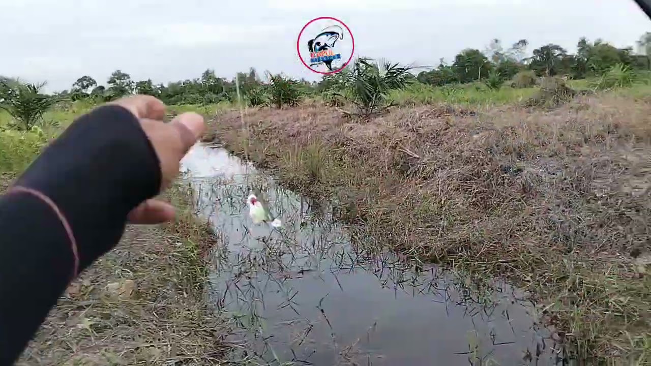 SPOTNYA SUDAH MULAI GELAP