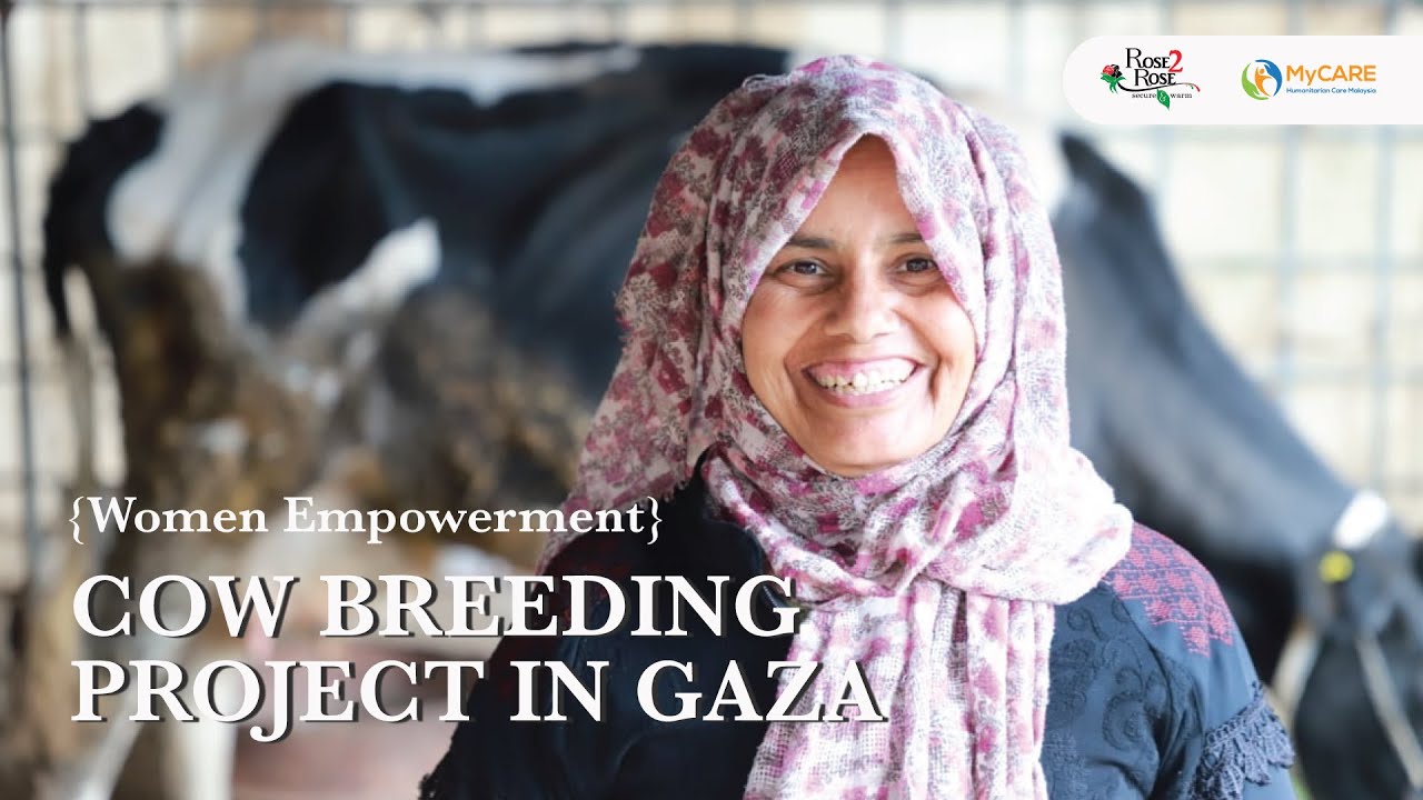 (Women Empowerment) Cow Breeding Project in Gaza