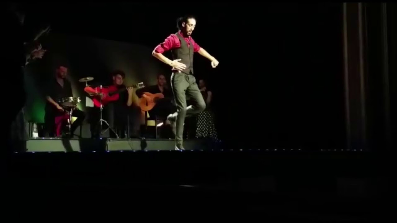Sergio barroso palacio del flamenco