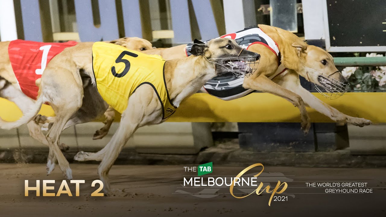 2021 TAB Melbourne Cup Heat 2 | Tiberia Bale
