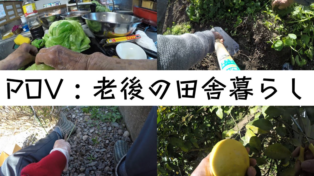 【作業用】ばーちゃん目線の長編動画！1人で怖い時に見てネ🌱👩🏻‍🍳🌾