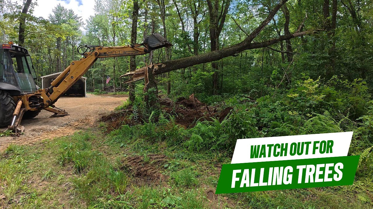 Case 580 Backhoe Knocking Down a Dead Tree
