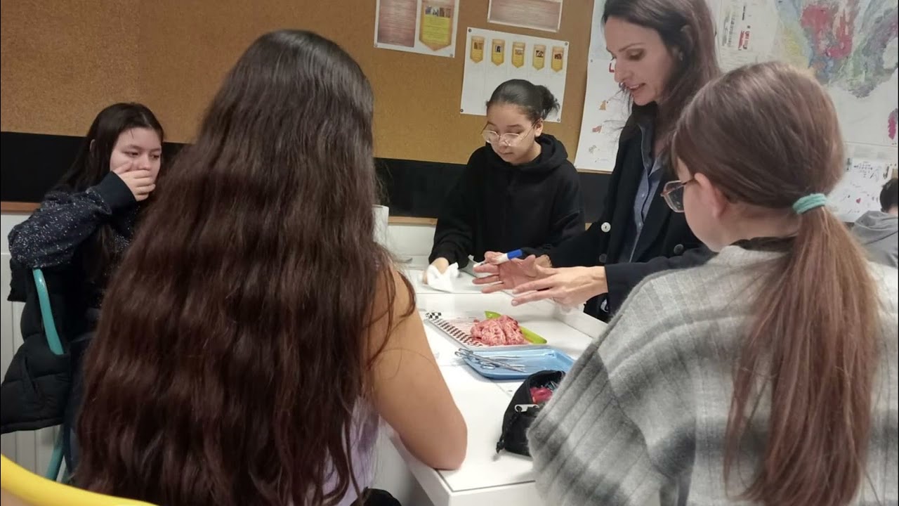 Présentation du Collège de la vallée verte de Vauvert !  2023-2024