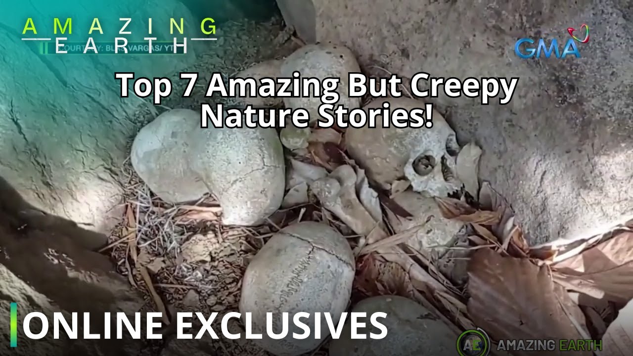 Amazing Earth: Top 7 Amazing But Creepy Nature Stories! (Online Exclusives)