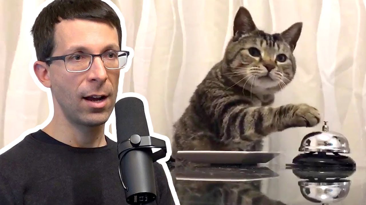 What is Deep Reinforcement Learning? (David Silver, DeepMind) | AI Podcast Clips