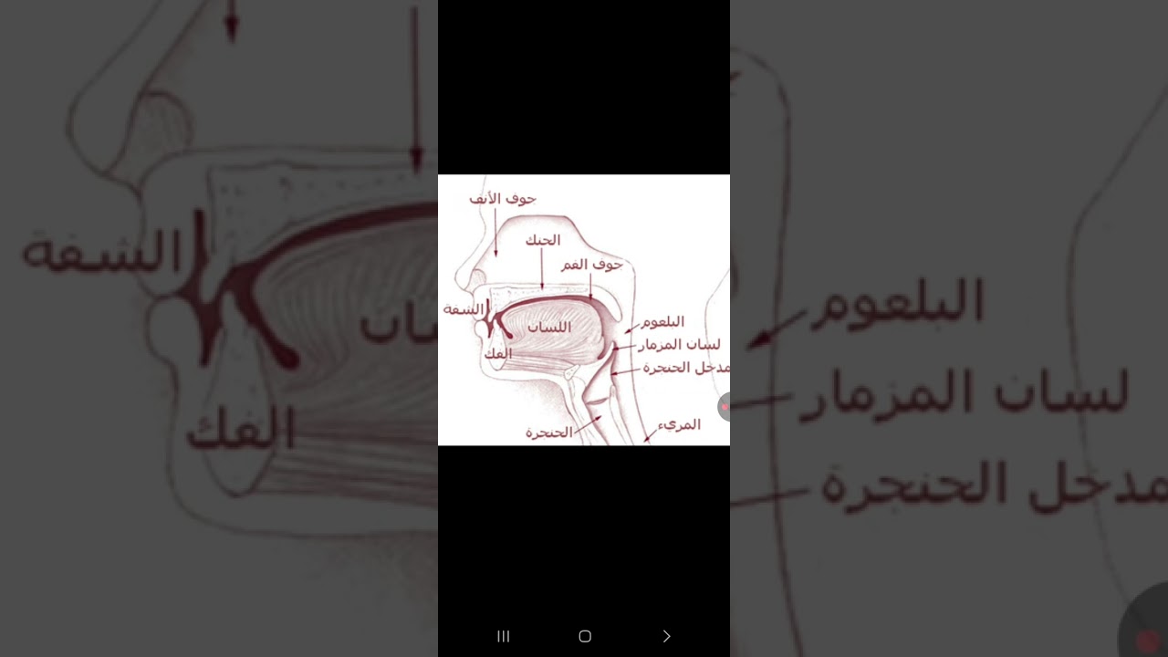 مخرج الجوف ومقارنة بين حروف المد واللين