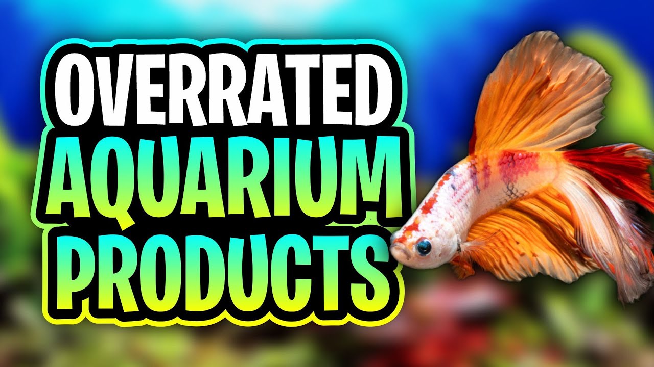 Overrated Aquarium Accessories That You Don't Need In Your First Fish Tank!