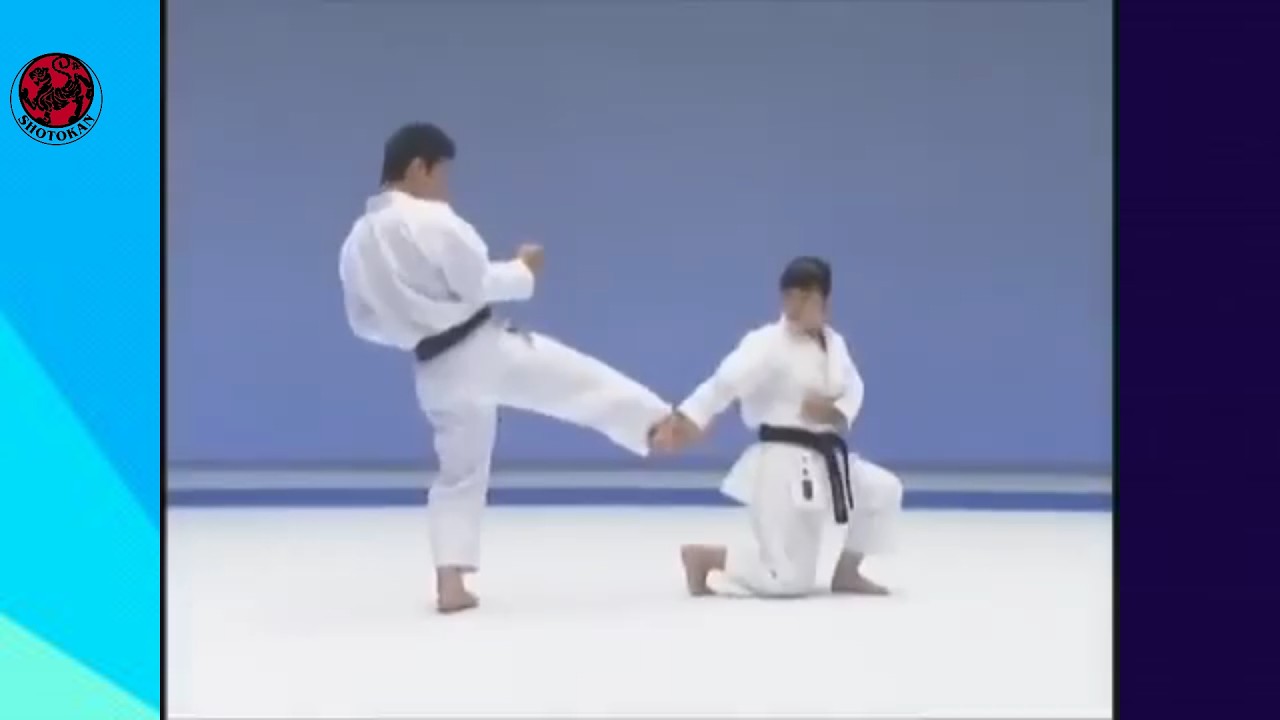 Enpi  -  Kata With Bunkai #shotokan