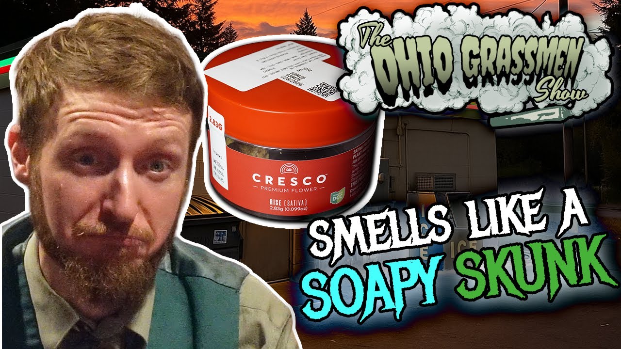 Skunk washing and Dumpster Drinking -- Cresco Purple Churro