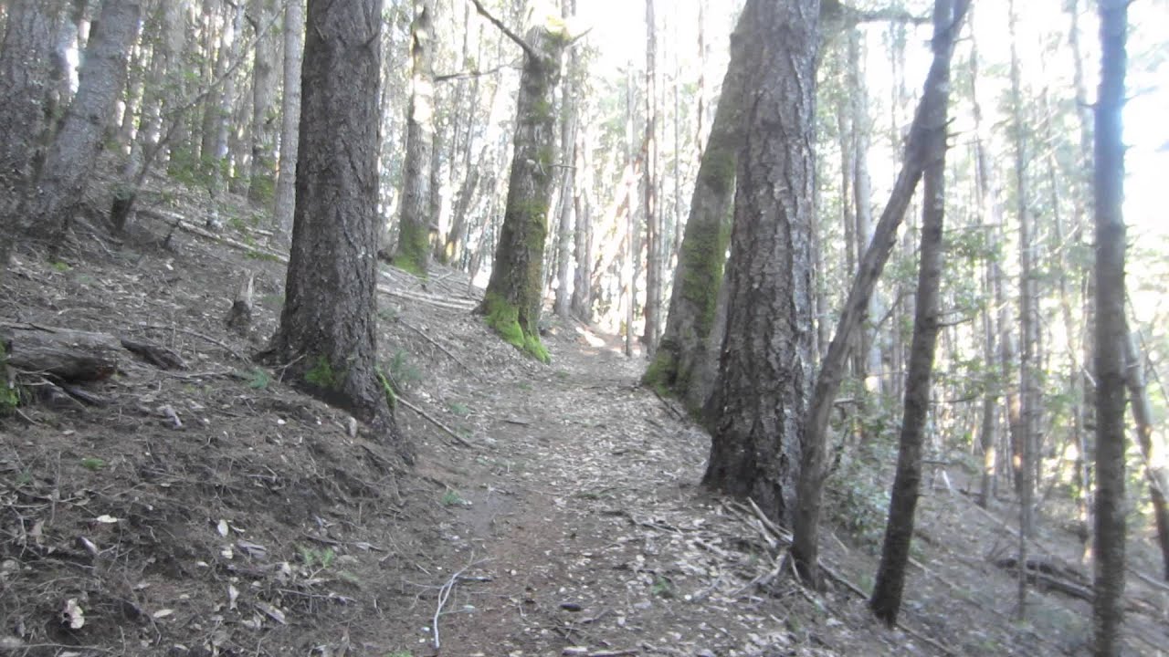 Winter Mountain Bike Kings Range