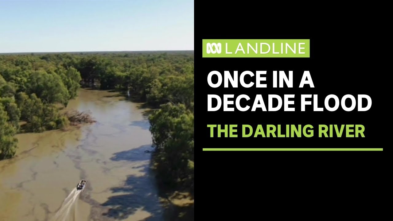 Making the most of the Darling River's floods | Landline | ABC News