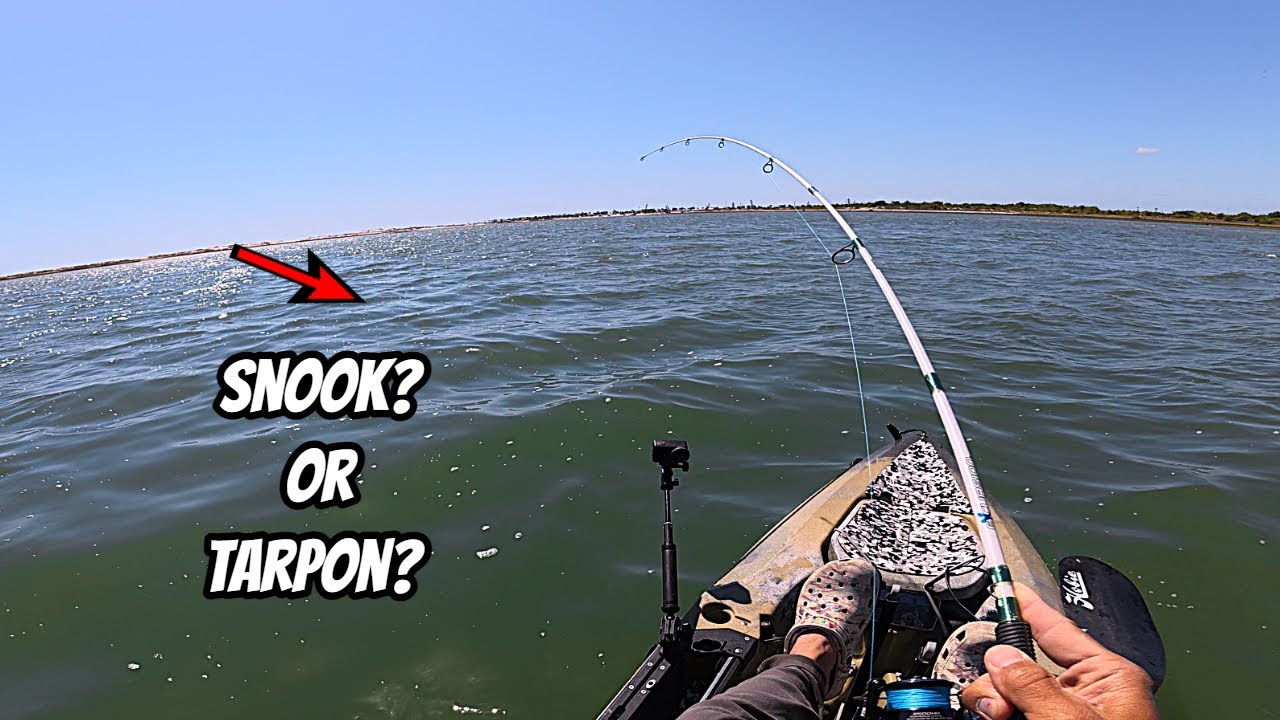 THIS SPOT IN JACKSONVILLE FLORIDA IS LOADED | I RAN INTO A MASSIVE FISH #fishing