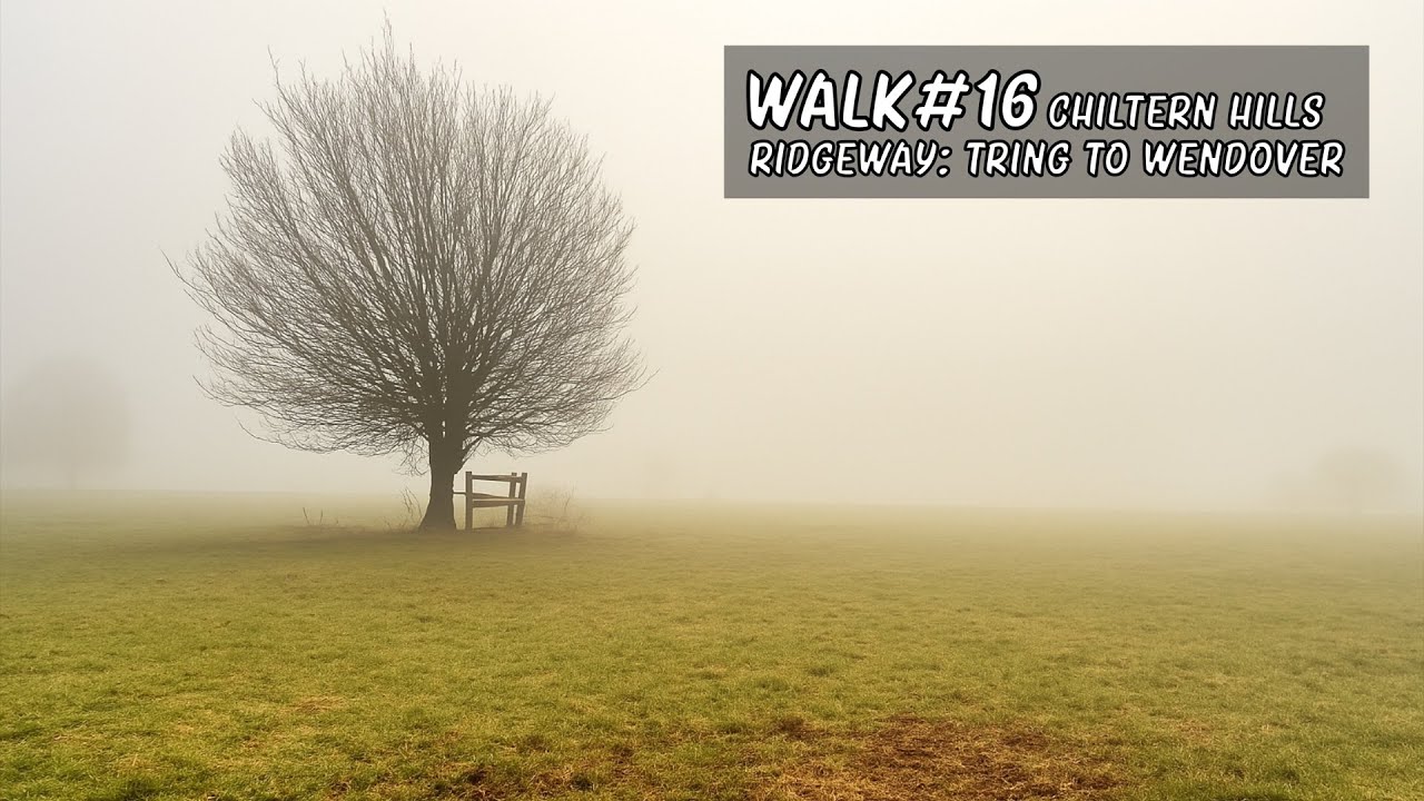 Walk 16 | Chiltern Hills | Ridge Way | Tring to Wendover #walkingtour #chilternhills #countrywalks