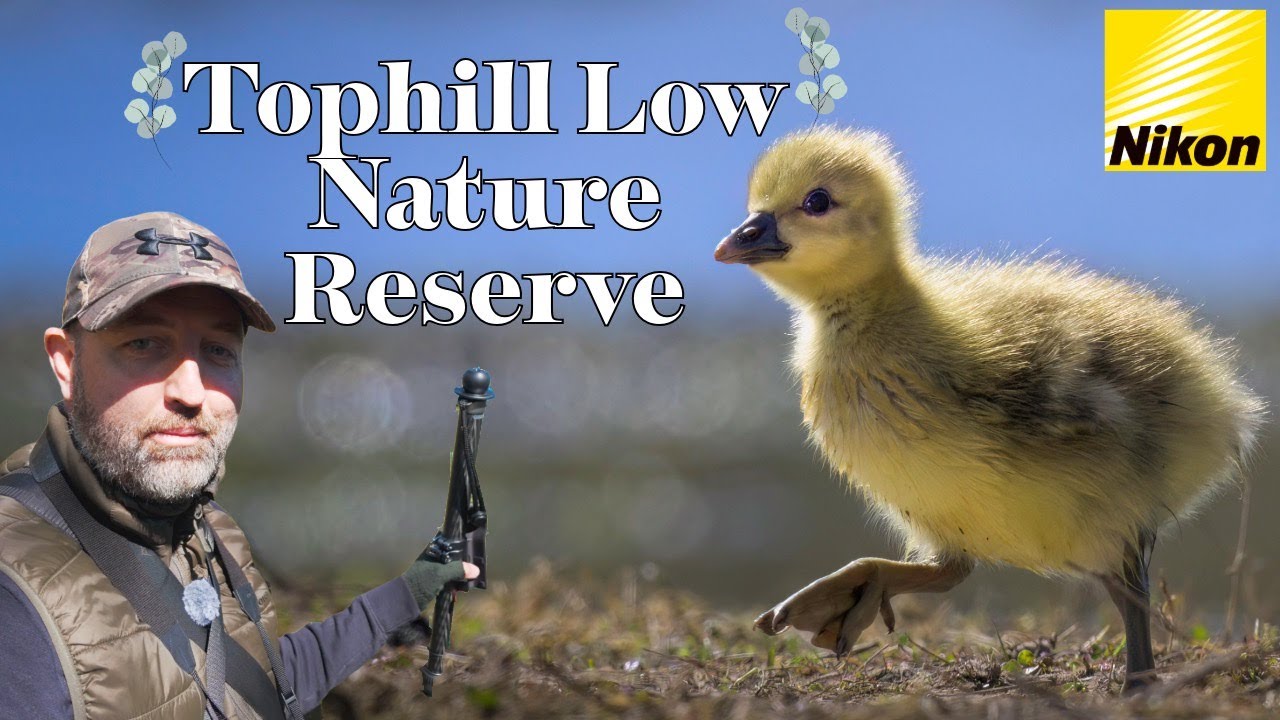 Tophill Low Nature Reserve Photography