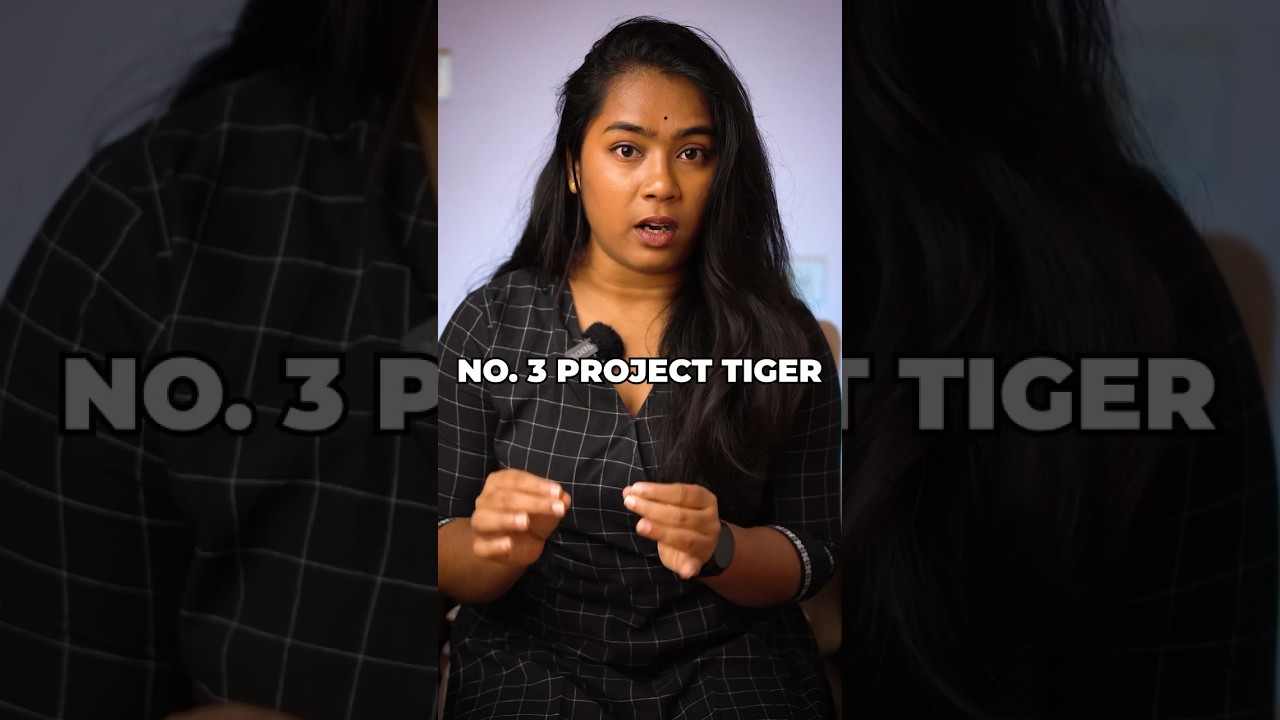 Why Tiger is the National Animal? | Why not Lion? | Keerthi History           #india #shorts #tiger