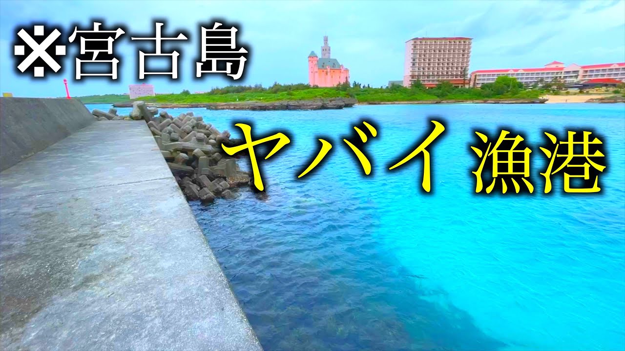 餌付けされた漁港？と聞いたの、宮古に釣りしに行ったら、、、魚が太い！