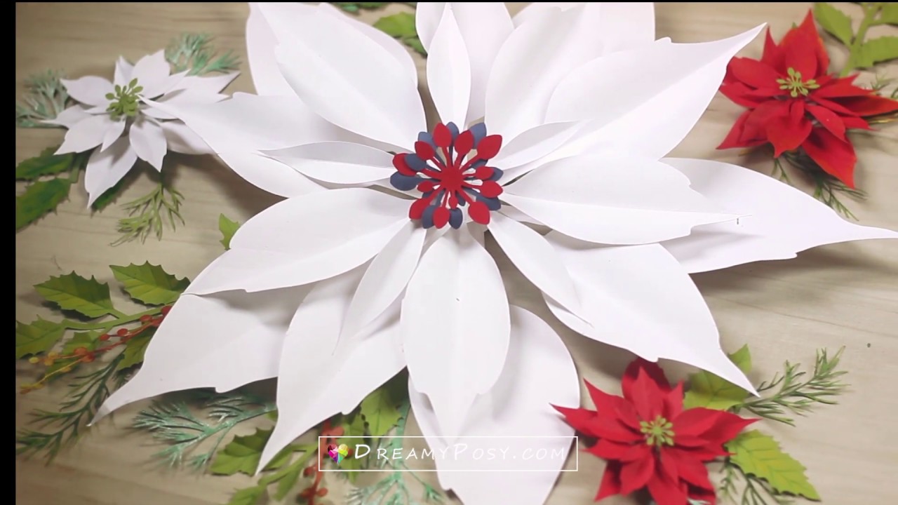 Large Poinsettia