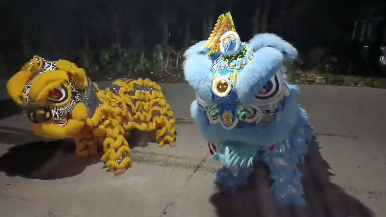Tập lân thoi nào!#lânsưrồng #lansurong #lansurongcholon #lânsư -Anh bốn vlog