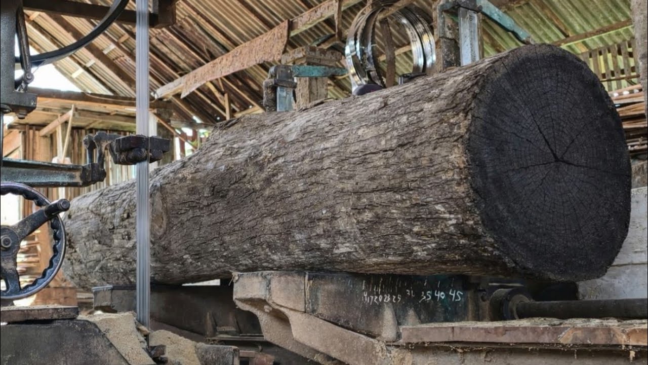 Amazing! Transforming super teak wood into high-quality luxury boards