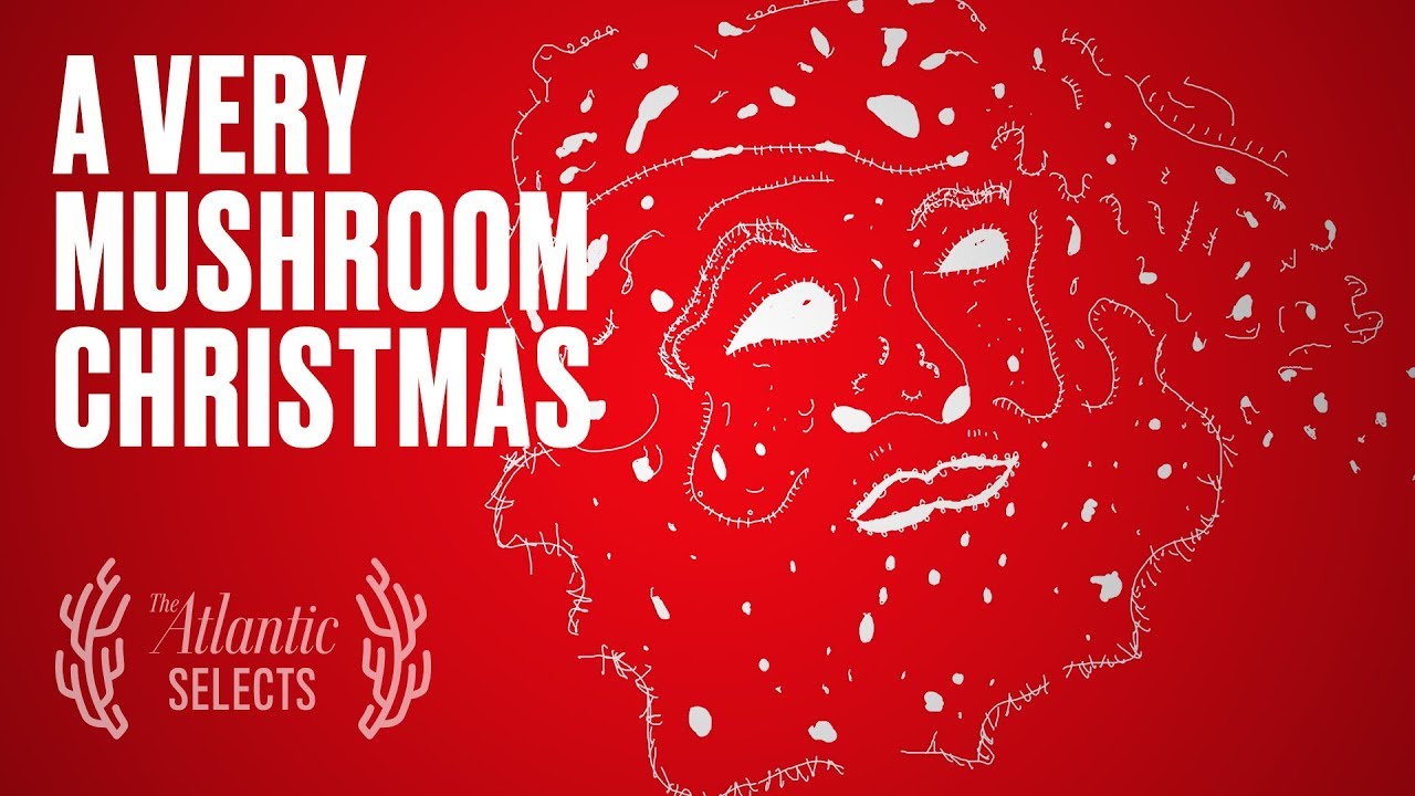 Santa Is a Psychedelic Mushroom