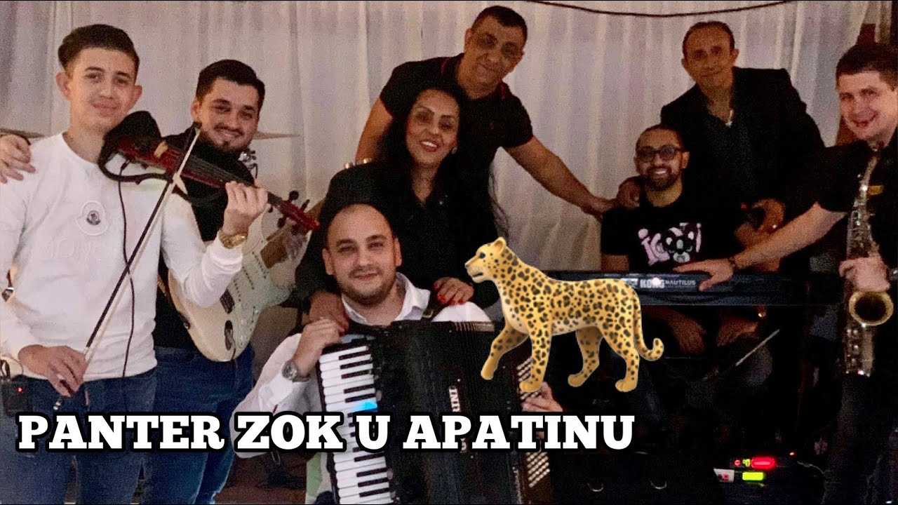 PANTER ZOK U APATINU / JOCA PIROMANAC / VELJKO NIKOLIC / STEFAN / BURIC / DALIBOR / MILAN STRASNI