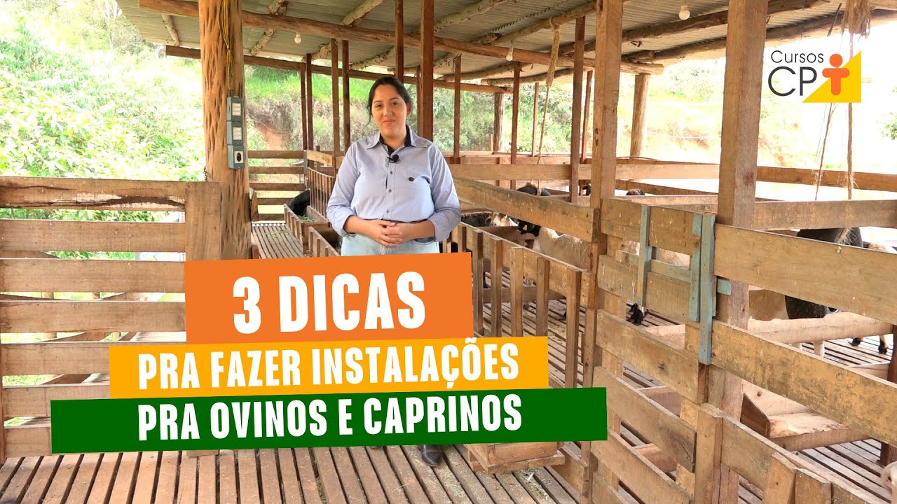 Como fazer as instala&ccedil;&otilde;es pra ovinos e caprinos l Cursos CPT