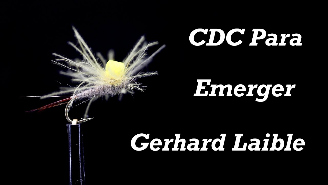 CDC Para Emerger - Герхард Лайбле