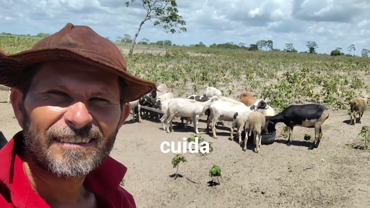 15 de março de 2026