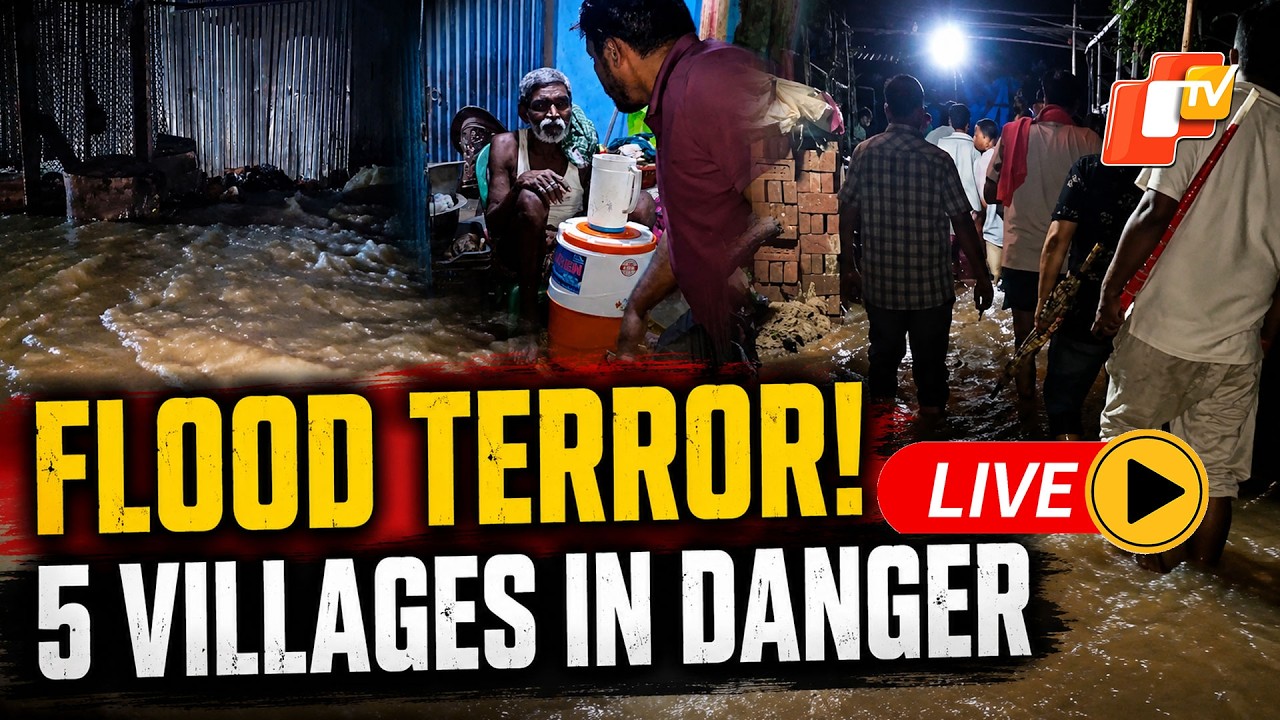 🔴LIVE | Odisha Flood Alert: Embankment Gives Way, Farmlands Submerged, 5 Villages in Danger | OTV